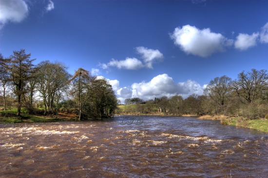 River North Tyne, Barrasford, Northumberland.