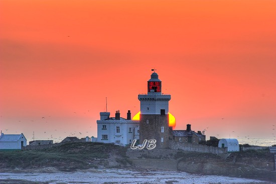 Sunrise at Coquet Island, Northumberland.
