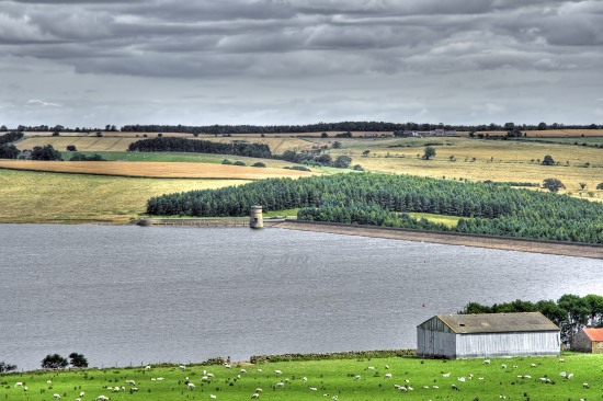 Derwent Reservoir, Northumberland.