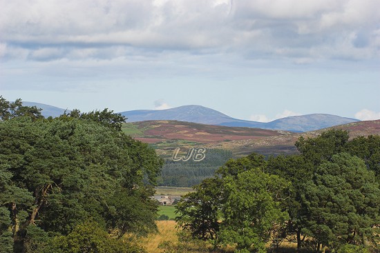 View past Simonside to Hedgehope and the Cheviot.