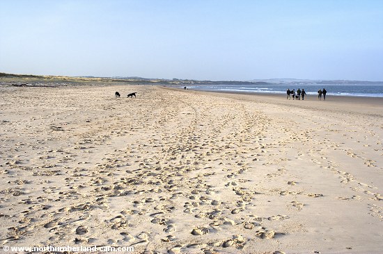 View north along Warkworth Beach, Northumberland Coast.