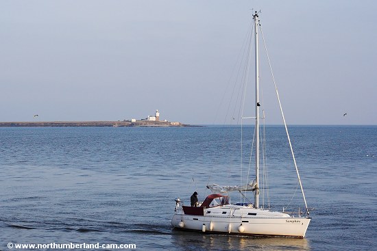 Yacht passing Coquet Island, Northumberland Coast.