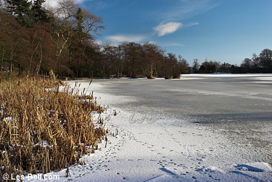Bolam Lake - frozen.