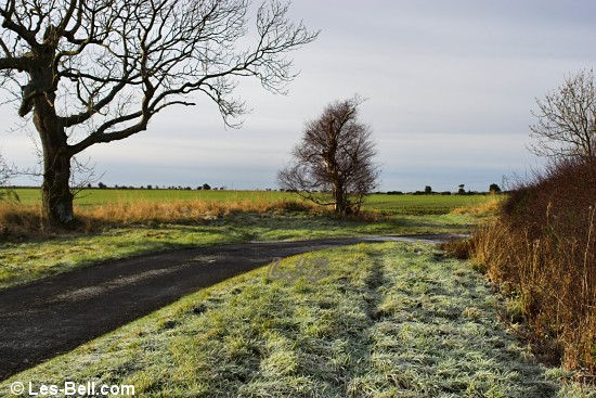 Frosty fields at Nunriding.