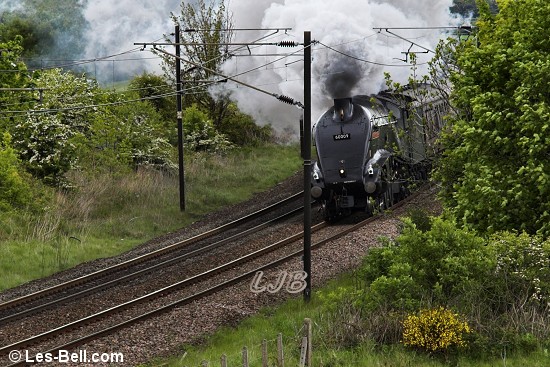 Excursion train hauled by steam loco Union of South Africa at Pegswood, Northumberland.