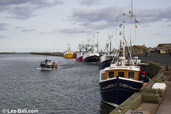 Fishing boats moored at Amble Quayside, Northumberland.