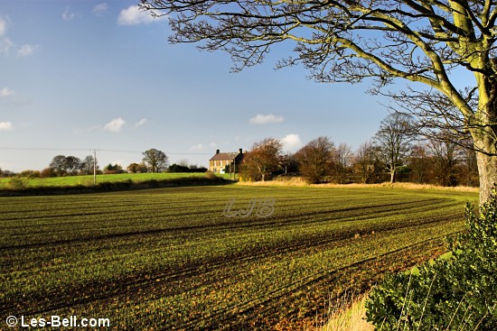 Winter crops at Bothal, Northumberland.