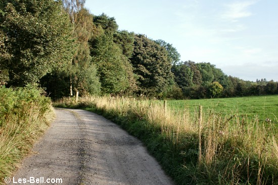 Track through the woods near Englethwaite Hall Caravan Club Site,Eden Valley, Cumbria.