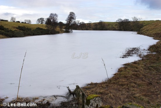 Rothley Lakes - frozen.