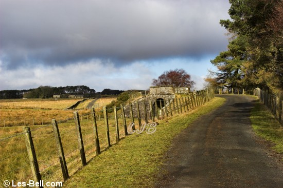 View along the road to Rothley West Shield Northumberland.