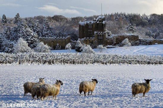 Bothal, Northumberland.