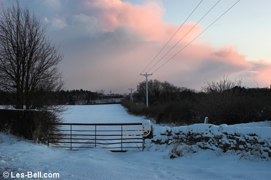 Roadside view between Bothal and Pegswood.