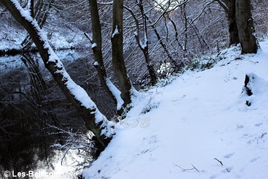 Snow along the River Wansbeck at Bothal, Northumberland.