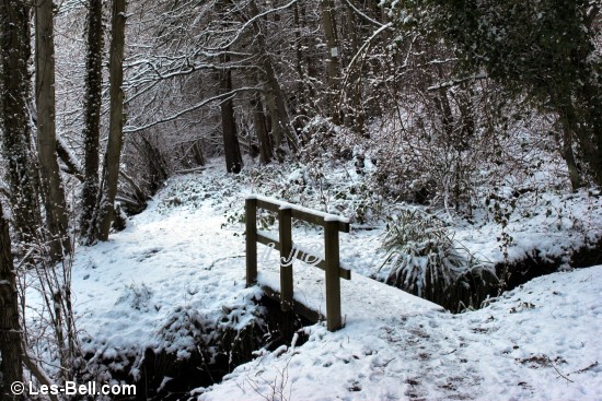 Snow at Bothal Woods, Northumberland.