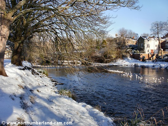 Morpeth Stepping Stones, covered in snow, Northumberland.