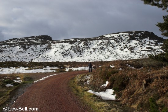 Walking along the track to Simonside.