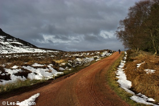 Walking along the track to Simonside.