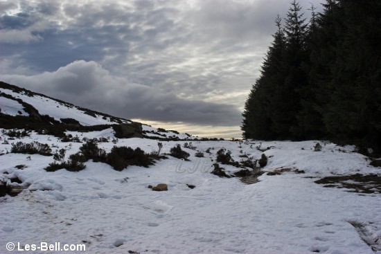 Footpath to Selby's Cove.