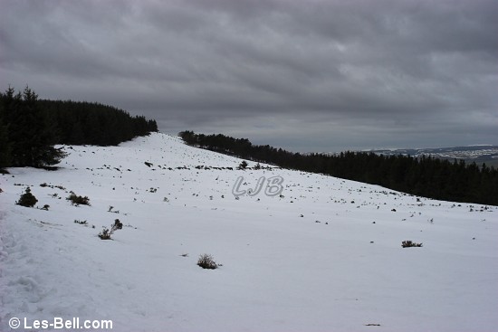 Footpath to Ravensheugh.