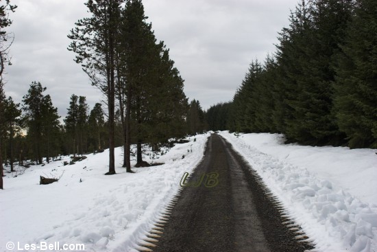 Track to Harwood Forest.