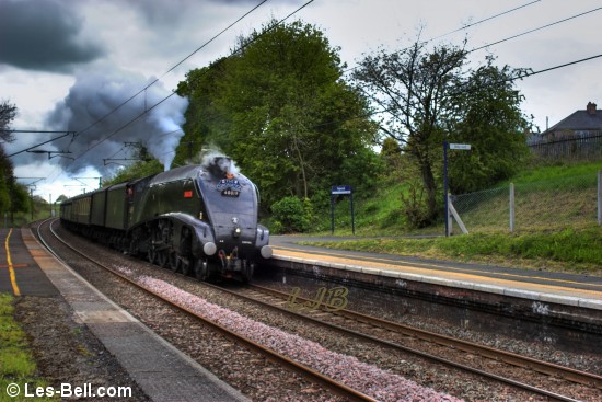 Mainline steam excursion headed by no 60019 Bittern passing through Pegswood.