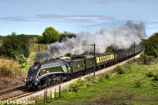 Mainline steam excursion headed by no 60019 Bittern passing through Pegswood.