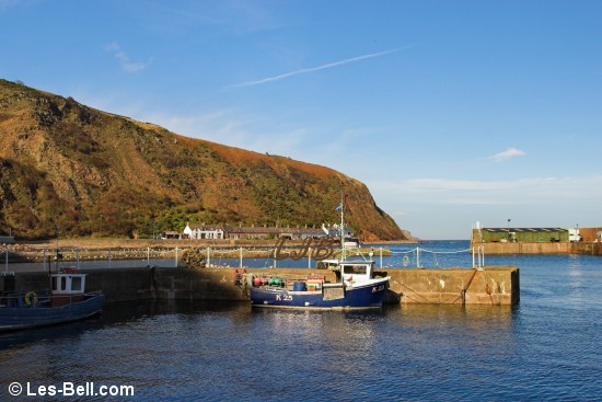 View of the harbour and fishing boats at Lower Burnmouth.