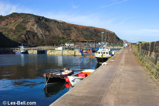 View of the harbour and fishing boats at Lower Burnmouth.