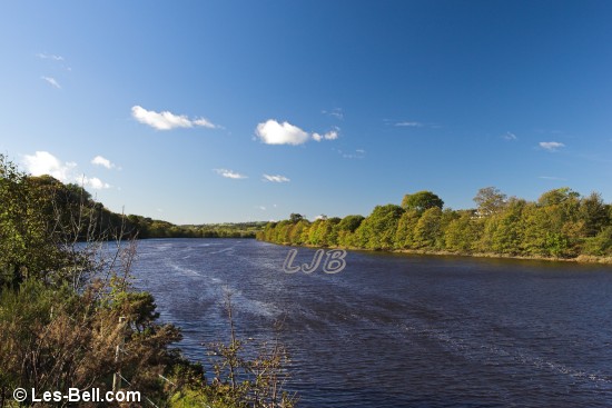 River Tyne Between Newburn and Wylam.