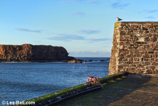 View from the pier at Eyemouth.