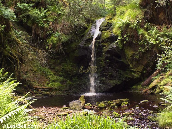 Hindhope Linn Waterfall, Redesdale Forest, Northumberland.