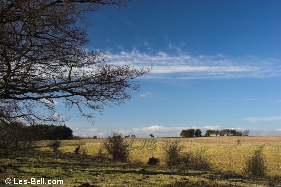 View to Nunriding Moor, Northumberland.