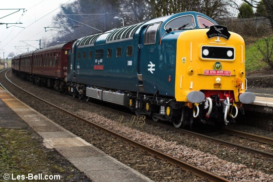 Deltic no. 55022 "Royal Scots Grey" passing through Pegswood Station.