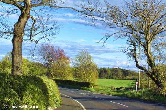 Road from Bothal to Pegswood, Northumberland.