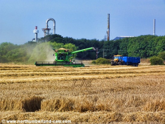 Harvesting near Woodhorn, Northumberland. 