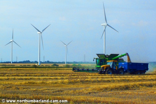 Harvesting near Woodhorn, Northumberland. 