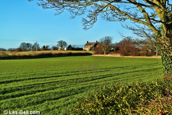 View across the fields at Bothal, Northumberland.