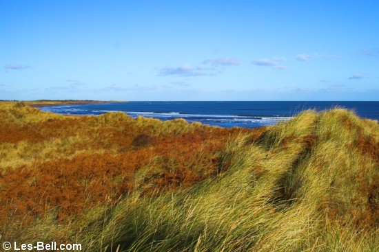 Dunes at Druridge Bay, Northumberland Coast.