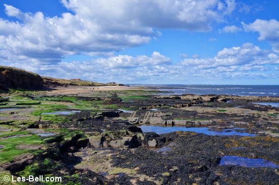 View from the rocks at the south end of Cresswell Beach, Northumberland Coast.