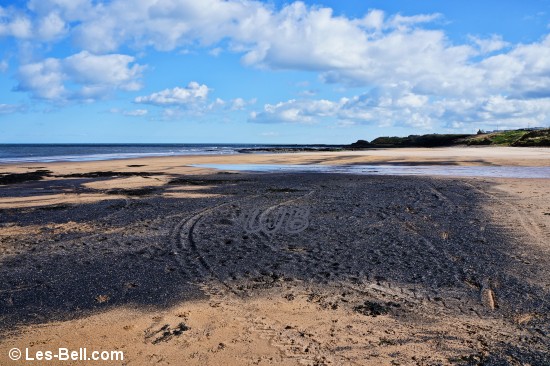 Sea coal on Cresswell Beach, Northumberland Coast.