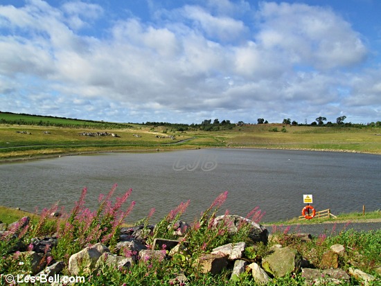 View of the lake at Pegswood Community Country Park.