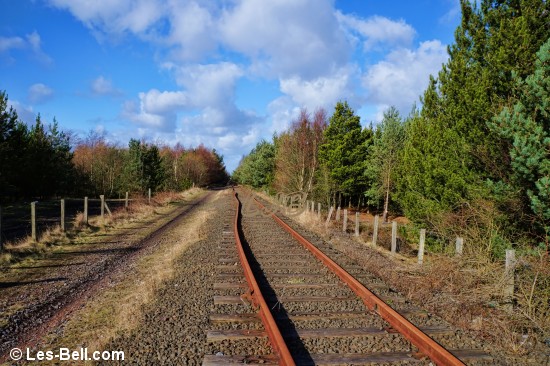 Disused railway at Ashington Community Woodland, Northumberland.