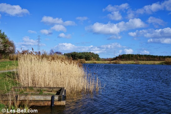 QEII Country Park and Lake, Ashington, Northumberland.