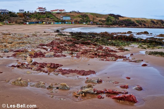 Red rocks on the beach at Coldingham Bay.