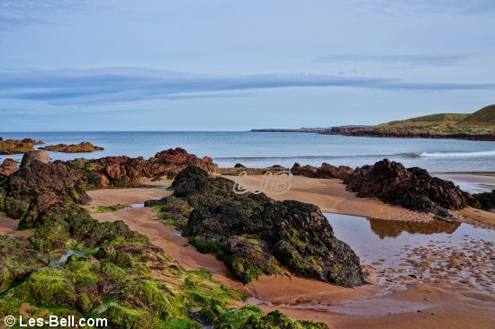 View across Coldingham Bay looking south.