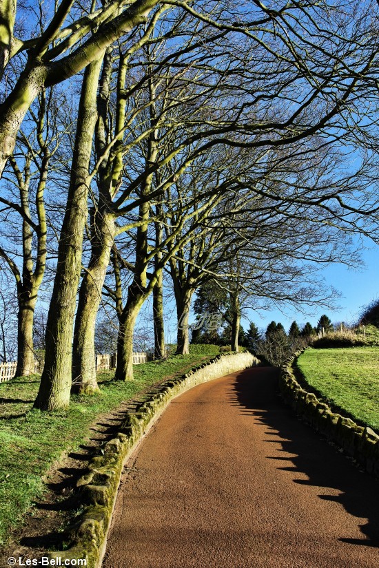 Footpath through Carlisle Park, Morpeth, Northumberland.