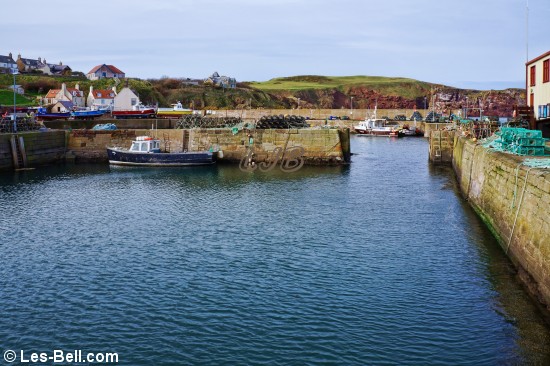 View across St. Abbs Harbour.