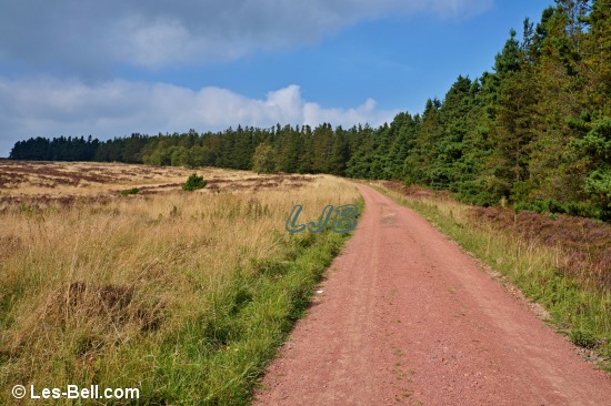 Track to Simonside Crags.