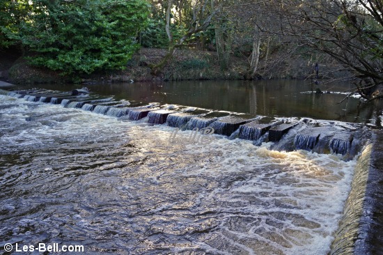 Stepping stones across the River Wansbeck.