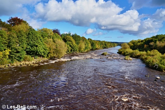 River Tyne at Wylam.
